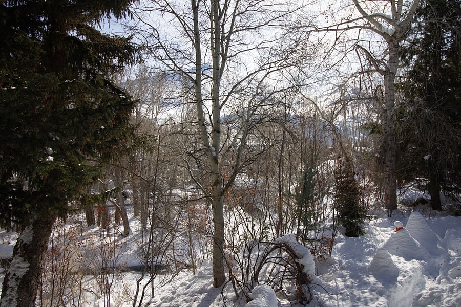 Furnished Finder property 1008562_1 photo 8