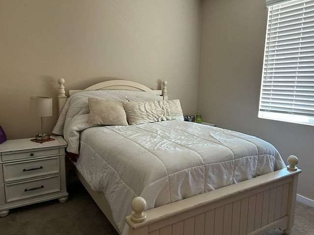 Furnished Finder property 1008599_1 photo 6