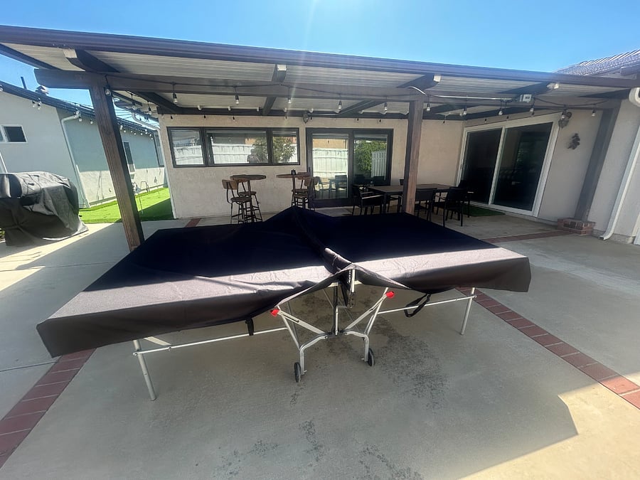 Ping Pong Table