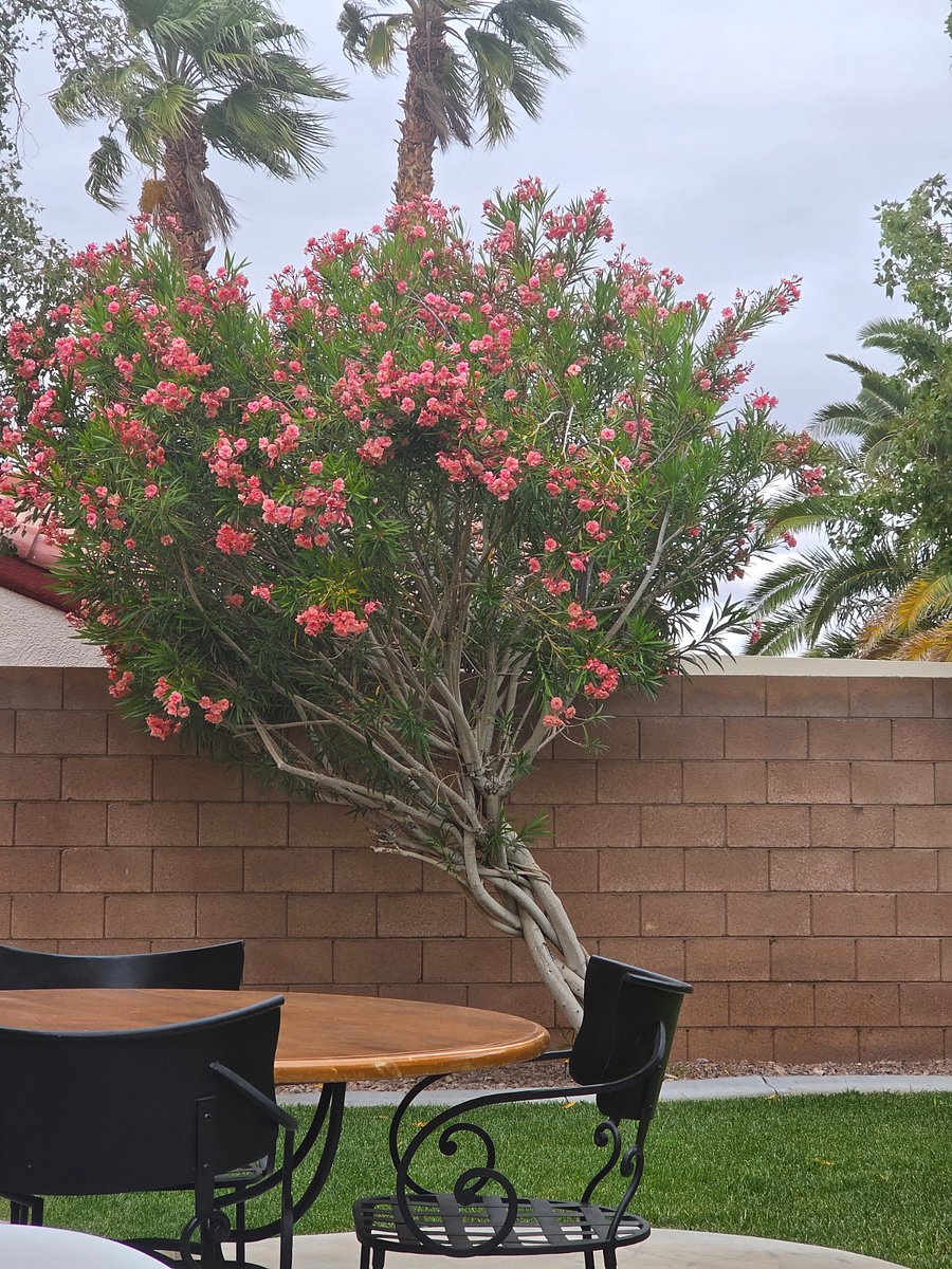 Furnished Finder property 1008625_1 photo 8