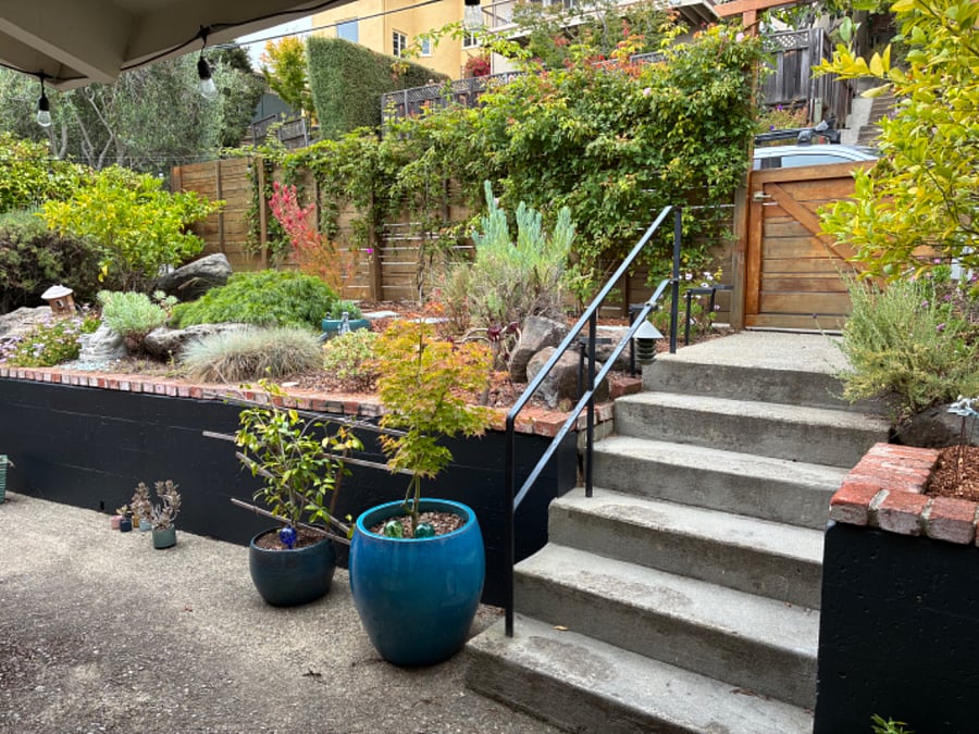Front garden.
