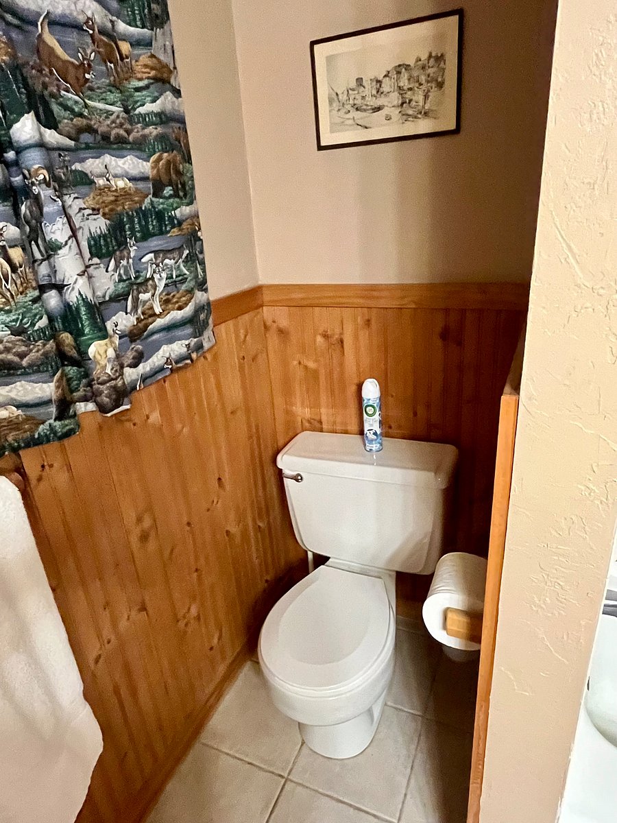 Furnished Finder property 1008718_1 photo 11