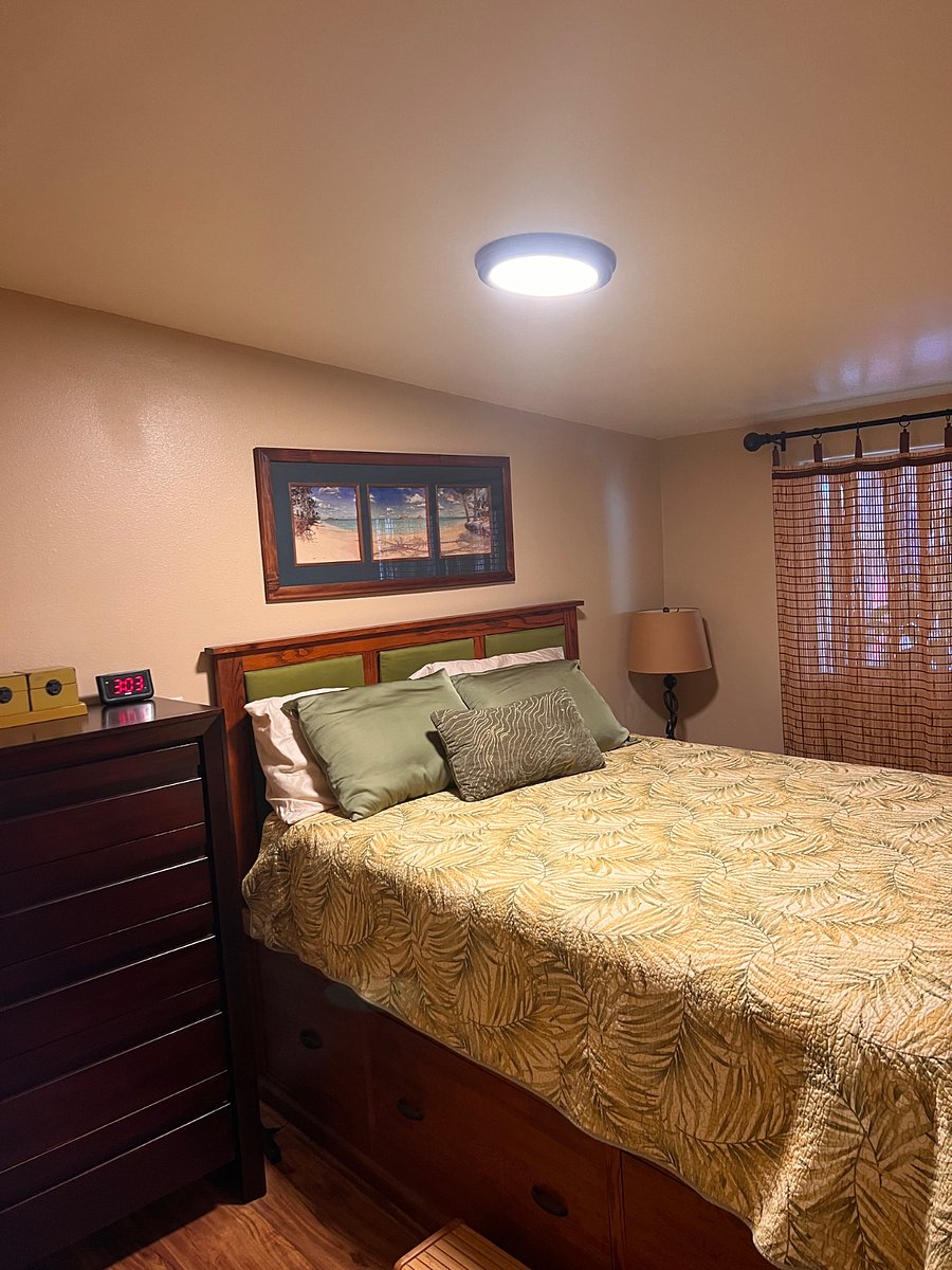 Furnished Finder property 1008727_1 photo 4