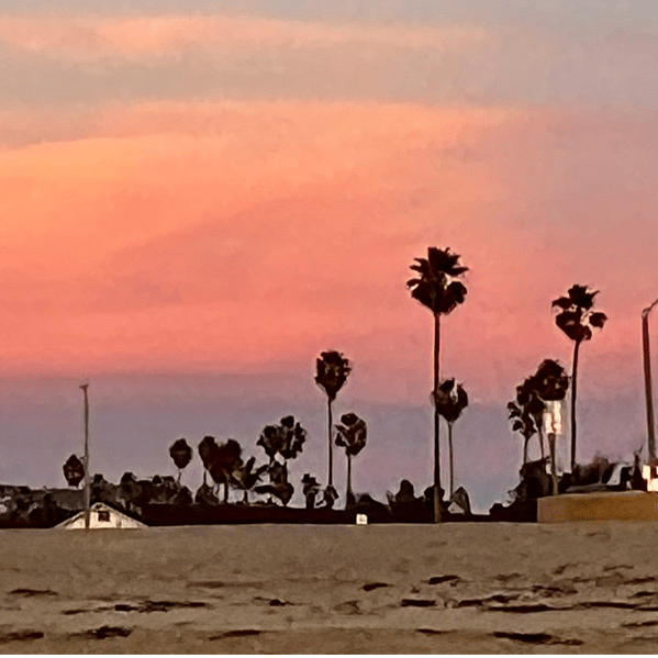 Gathering for sunset on the beach, don't forget your favorite beverage
