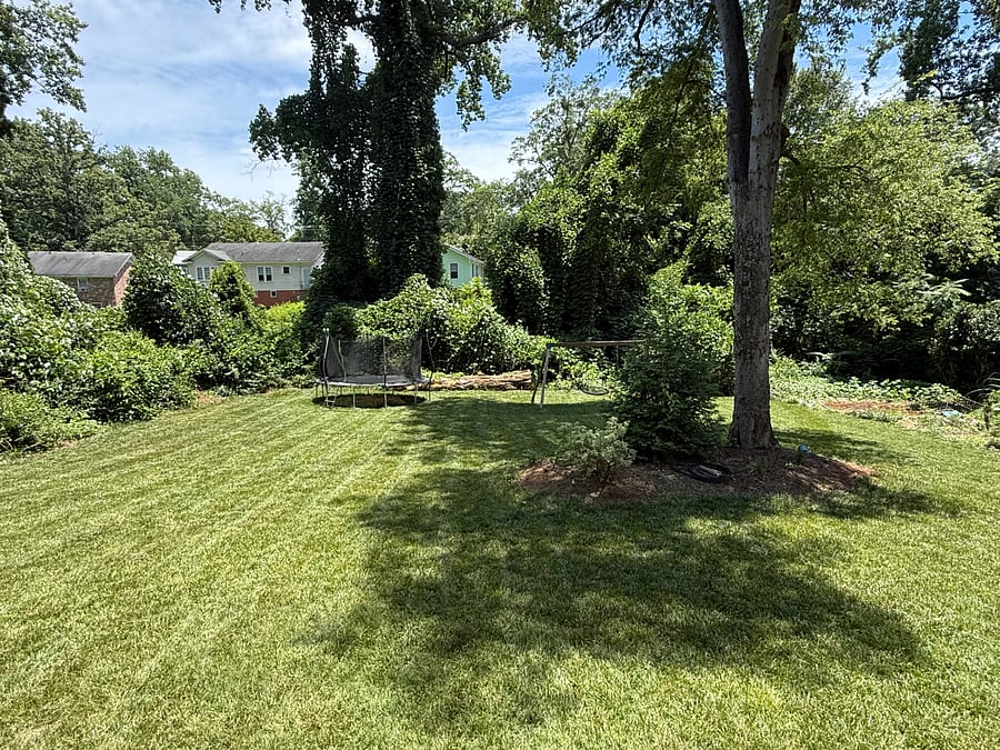 Furnished Finder property 1008822_1 photo 20
