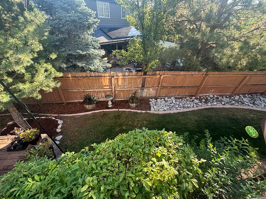Back Lawn