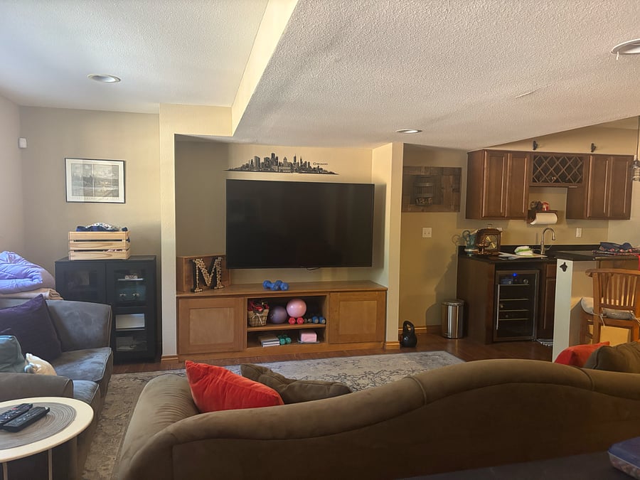 Basement Living Room 