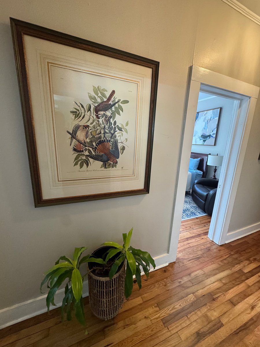 Furnished Finder property 1008874_1 photo 5
