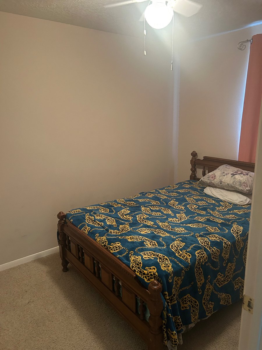 Furnished Finder property 1008911_1 photo 8
