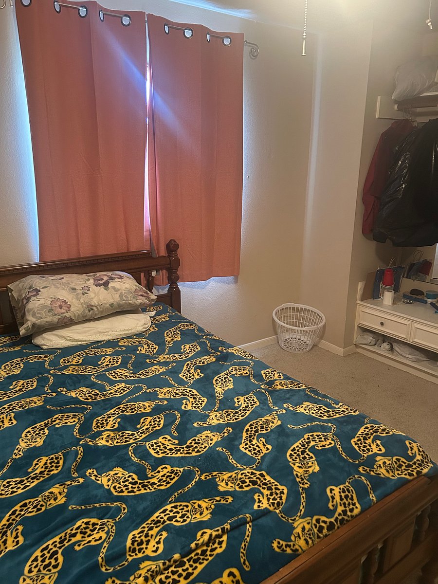 Furnished Finder property 1008911_1 photo 9