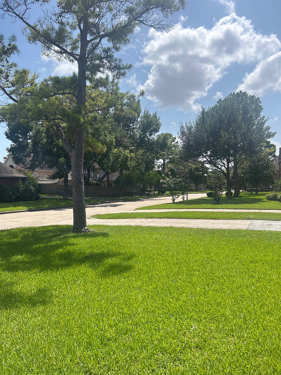 Furnished Finder property 1008911_1 photo 15