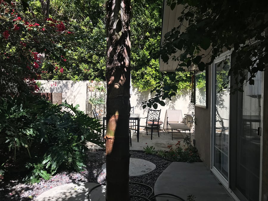 Furnished Finder property 1008978_1 photo 7