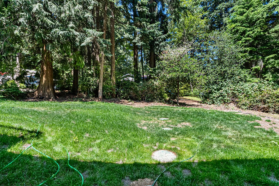 Furnished Finder property 1008986_1 photo 12