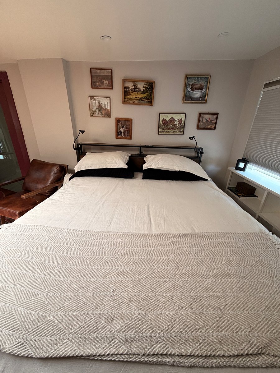 Furnished Finder property 1009040_1 photo 23