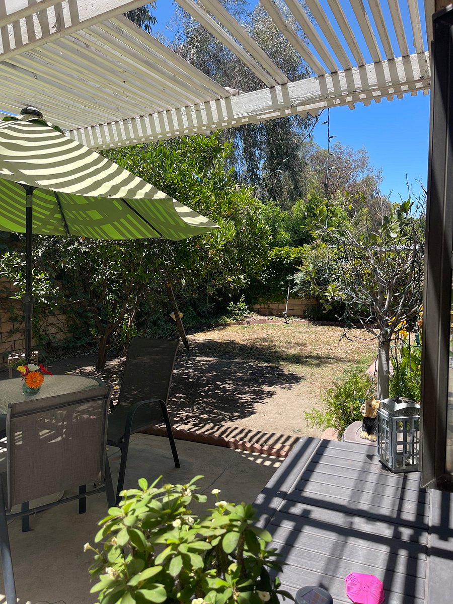 Furnished Finder property 1009044_1 photo 12
