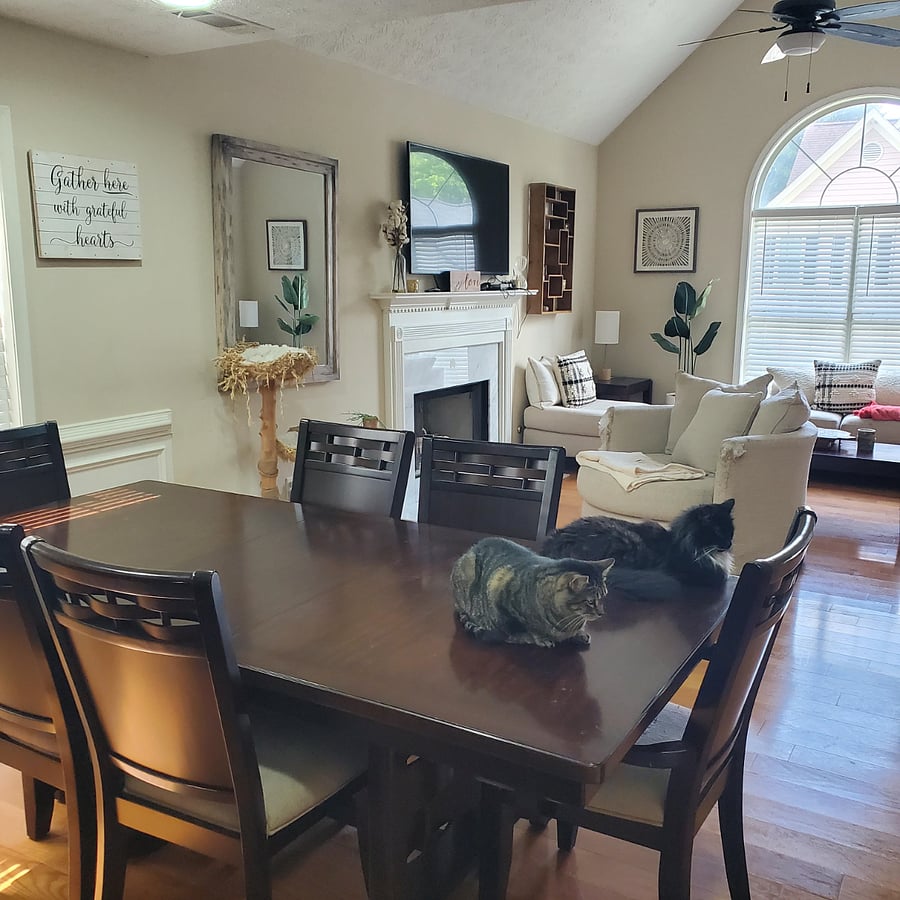 Furnished Finder property 1009049_1 photo 4