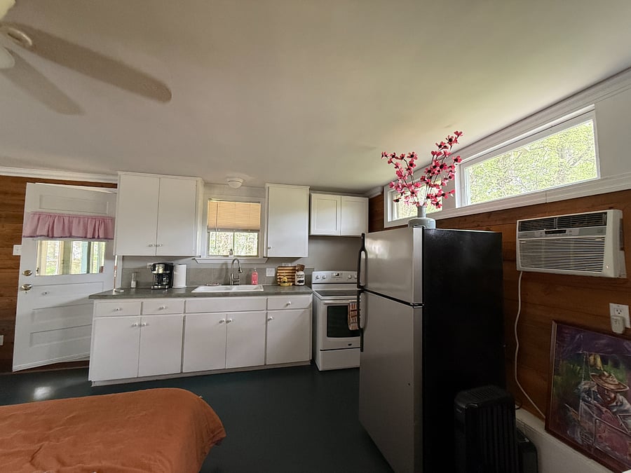 Furnished Finder property 1009095_1 photo 8