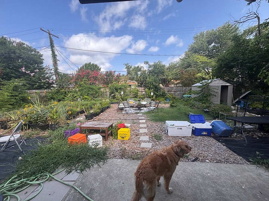 Furnished Finder property 1009111_1 photo 15