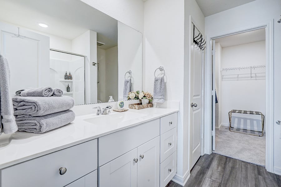 Master bathroom 