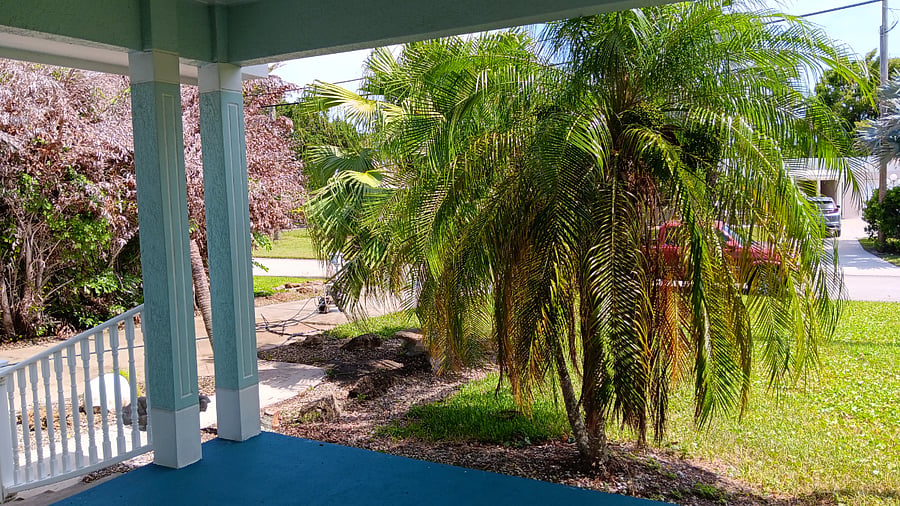 View from front porch.