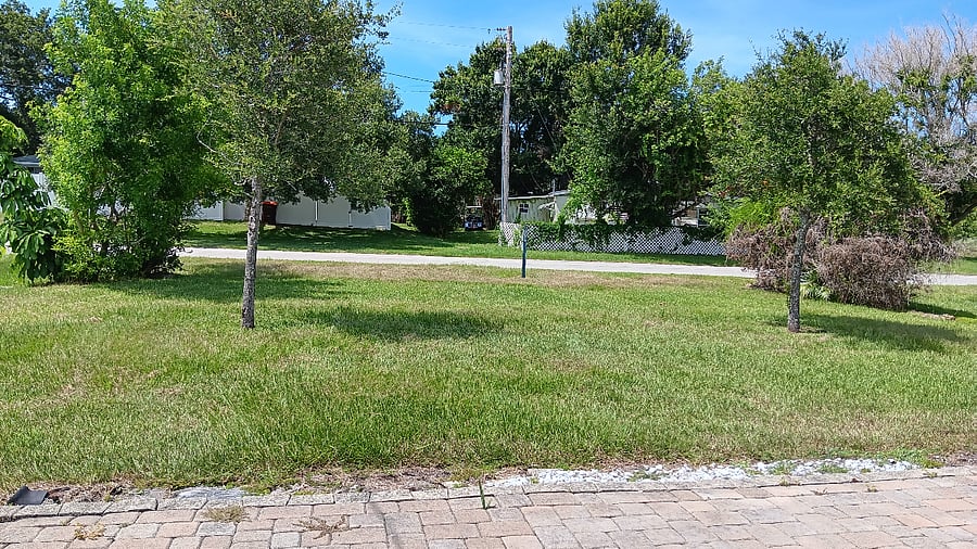 Open backyard, may park boat or trailer.