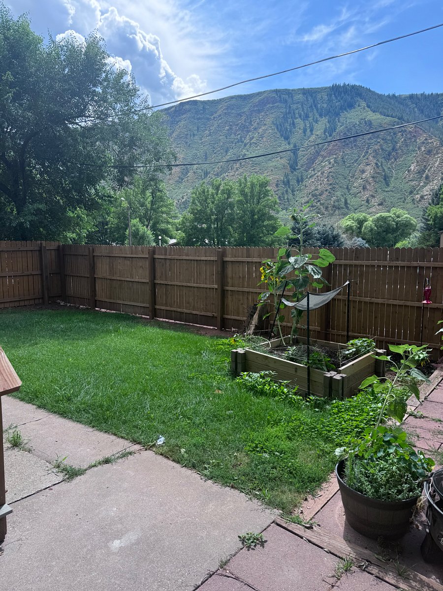 Furnished Finder property 1009194_1 photo 8