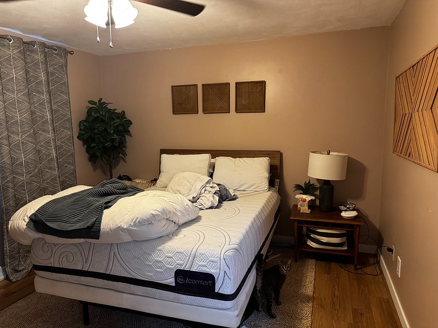 Furnished Finder property 1009217_1 photo 35