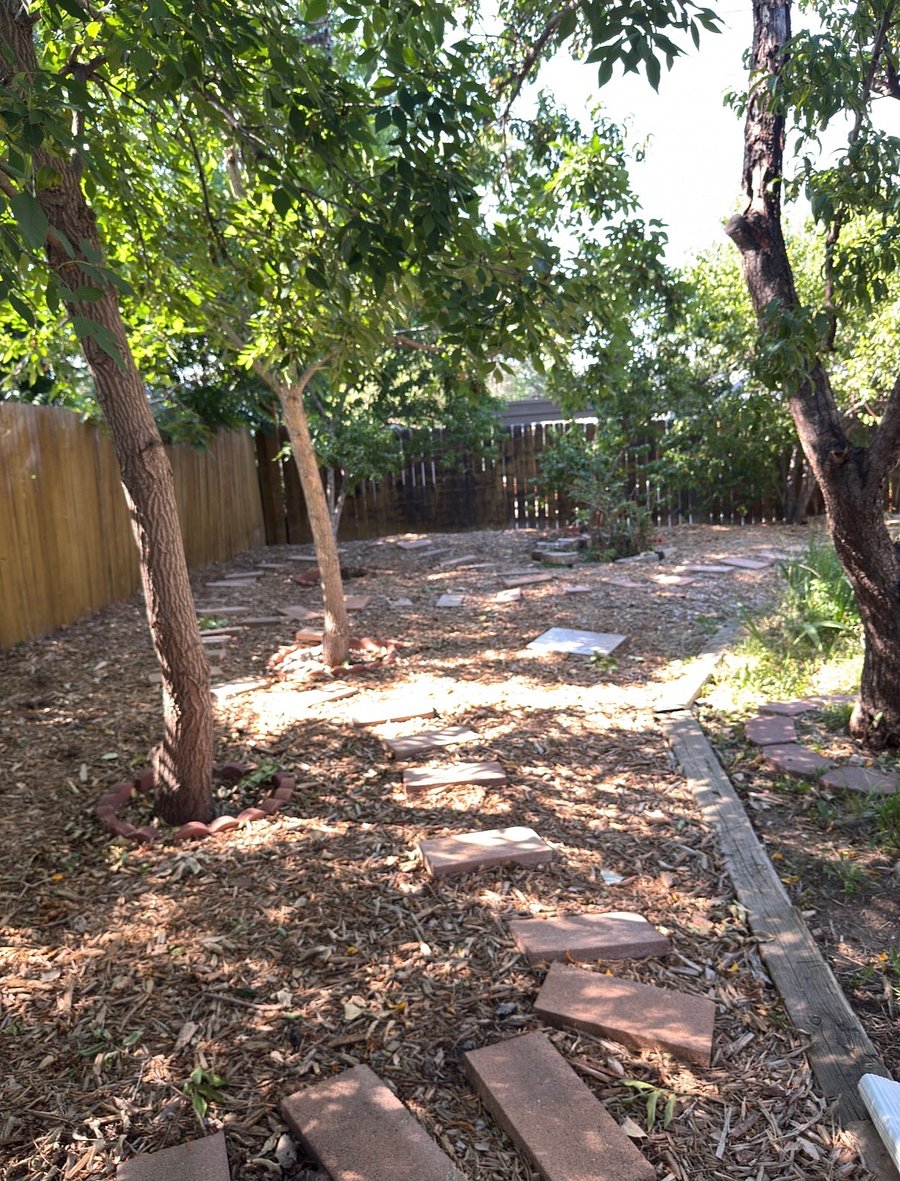 back of yard. fruit trees