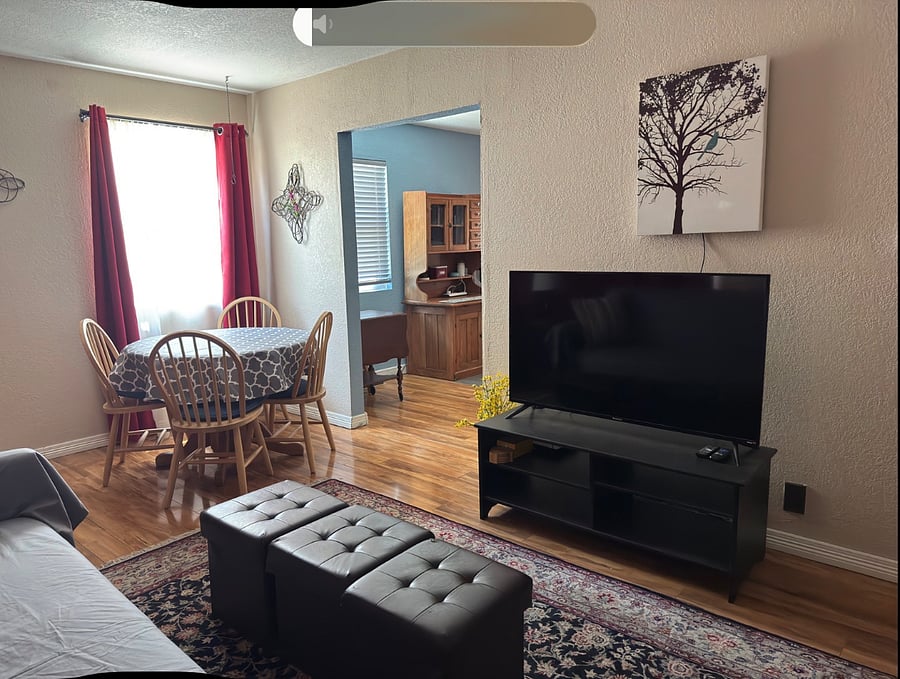 living room.  smart tv