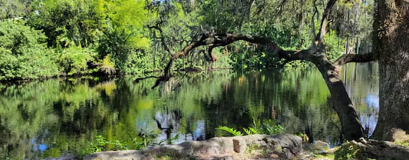 5 minute walk to the Hillsborough River