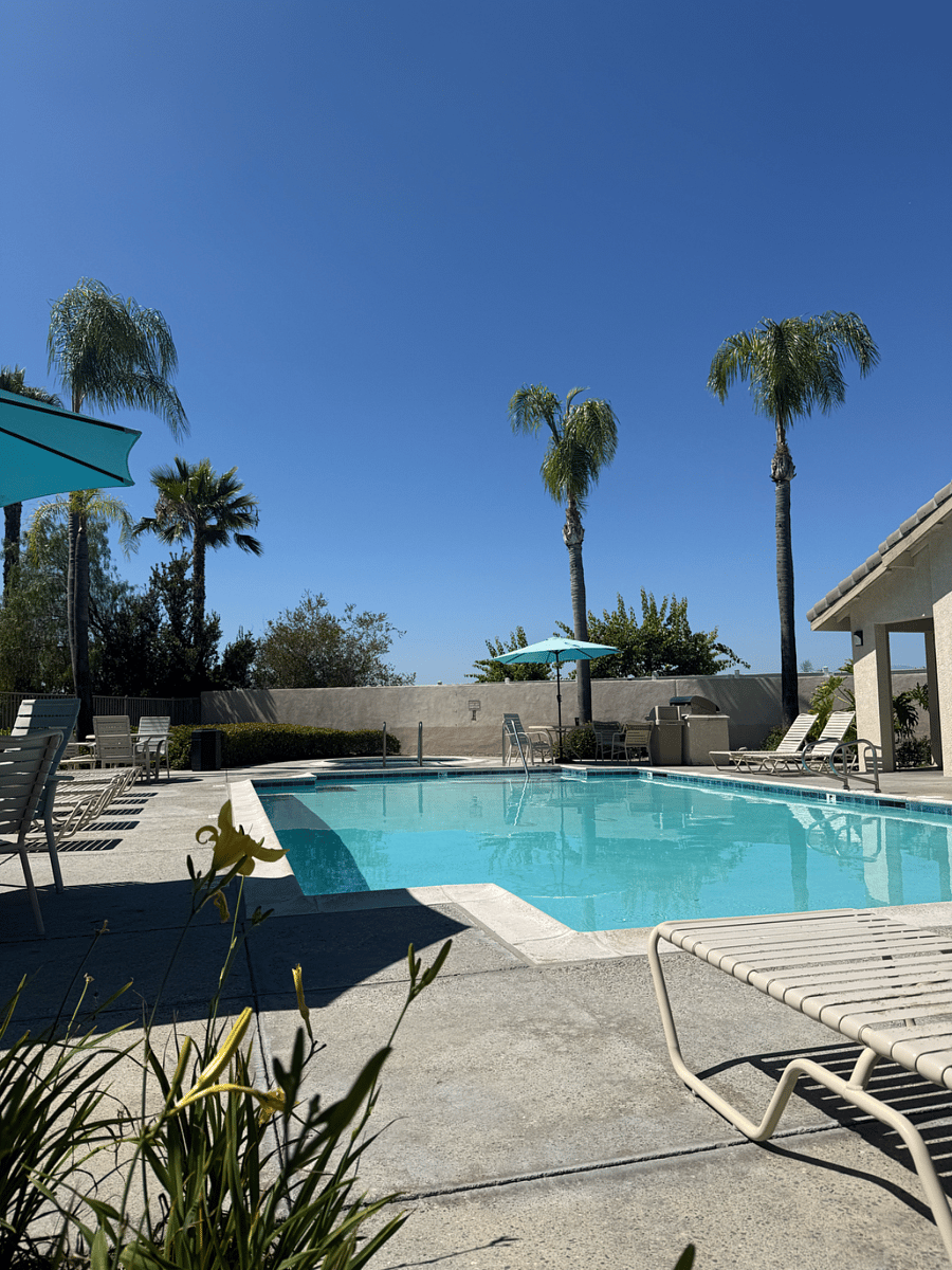 Furnished Finder property 1009256_1 photo 11