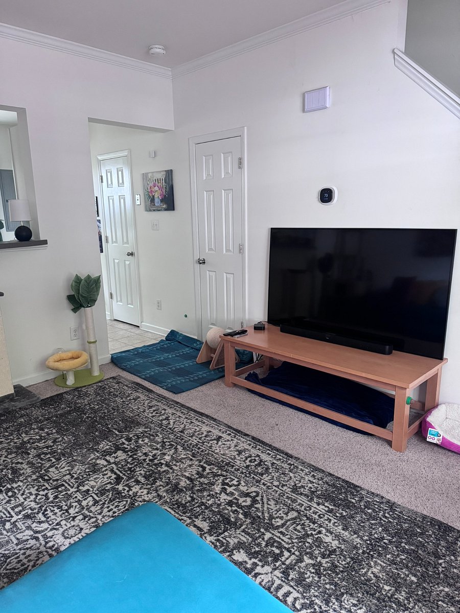 Furnished Finder property 1009413_1 photo 10