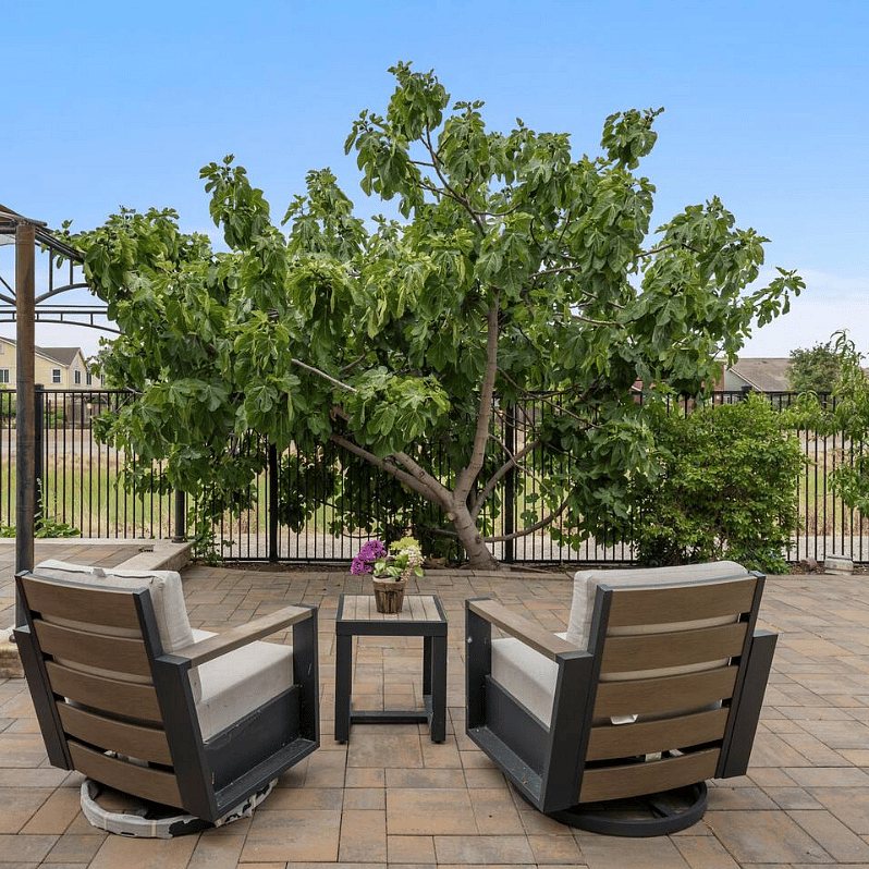 Private backyard with comfortable seating and mature fruit trees including lemon, peach, and figoffering a peaceful shaded space to relax and enjoy fresh, homegrown fruits.