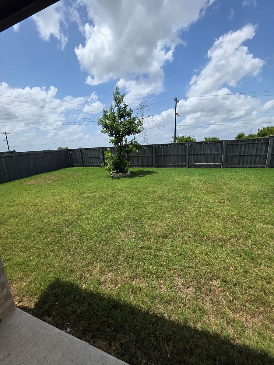Furnished Finder property 1009509_1 photo 9