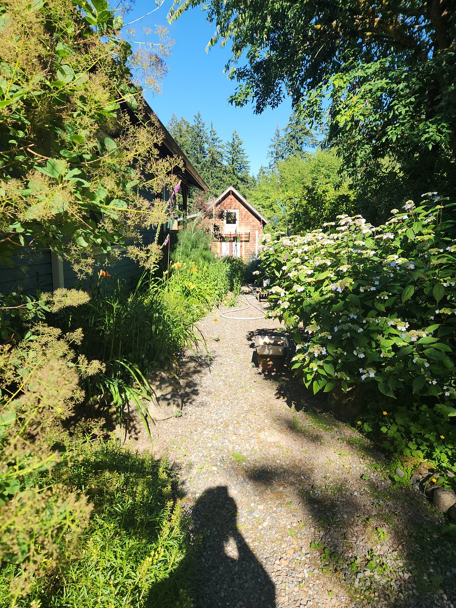 Furnished Finder property 1009523_1 photo 13