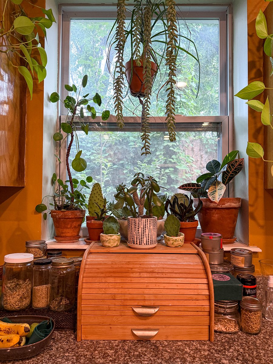 kitchen window