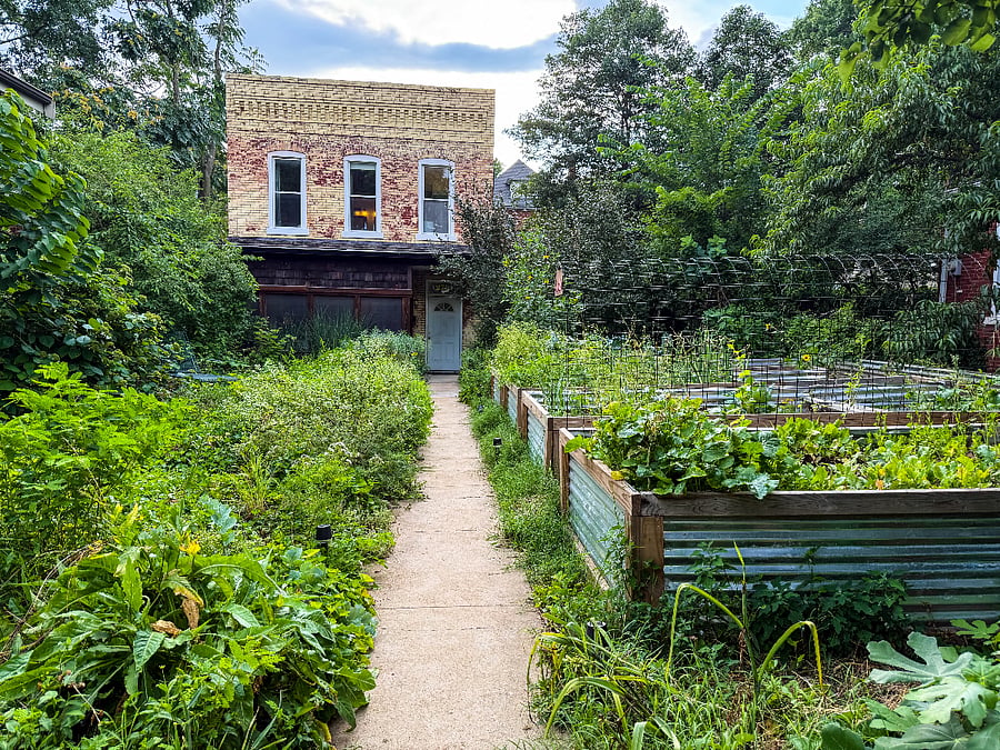 Front yard filled with native plants and garden beds (no maintenance required in fall/winter) 