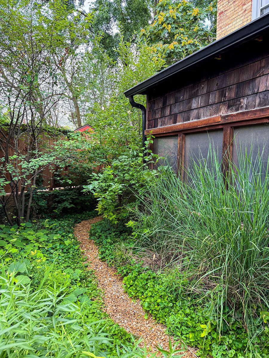 Rain-garden in front of the sunroom. 