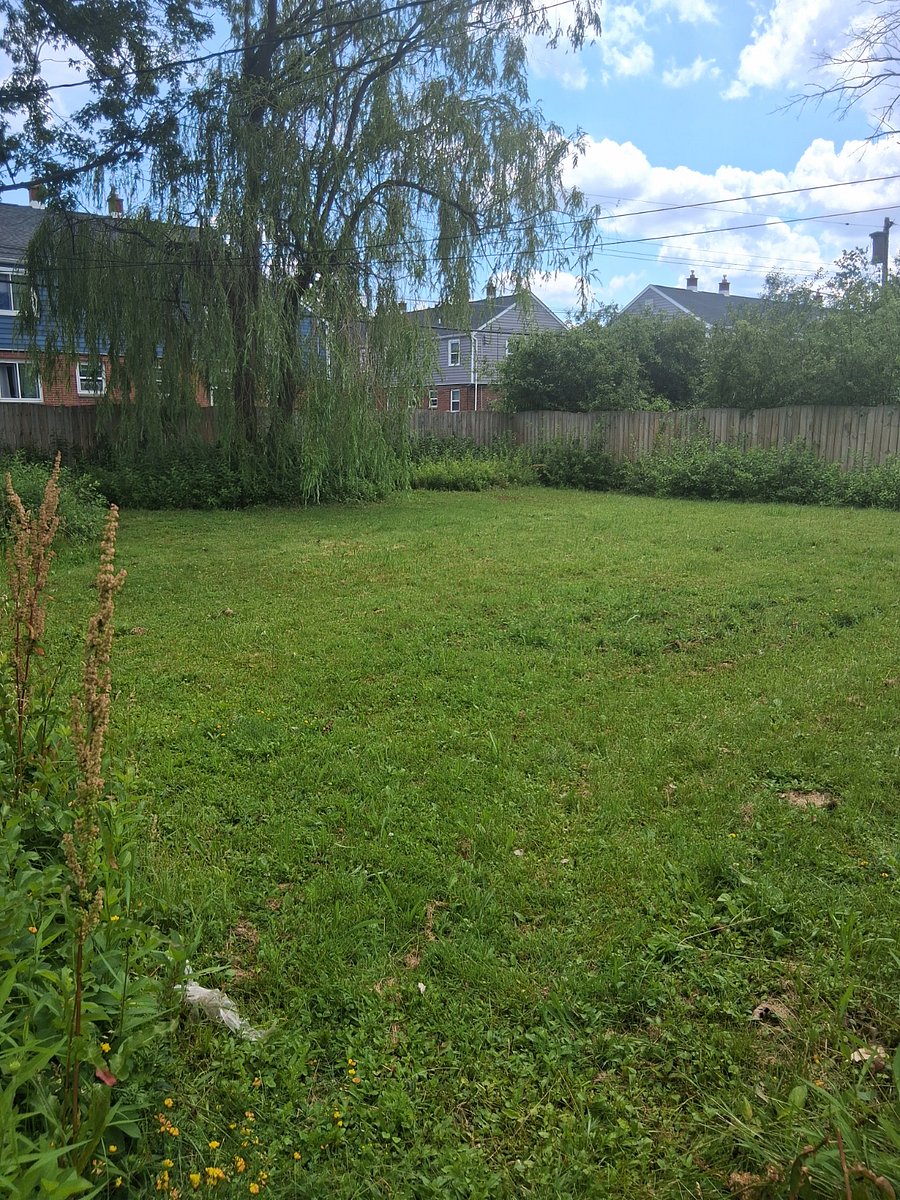 Furnished Finder property 1009571_1 photo 3