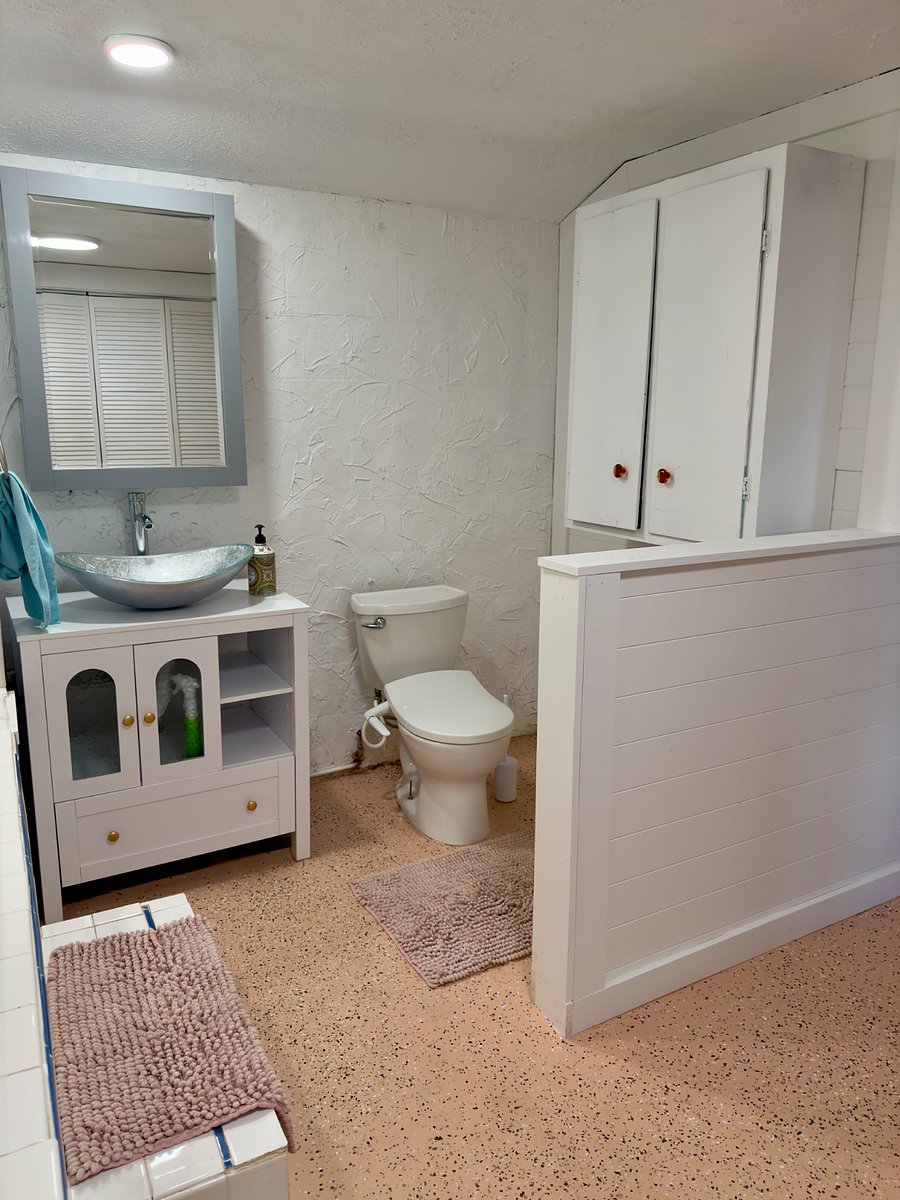 Bathroom in the basement with bidet 