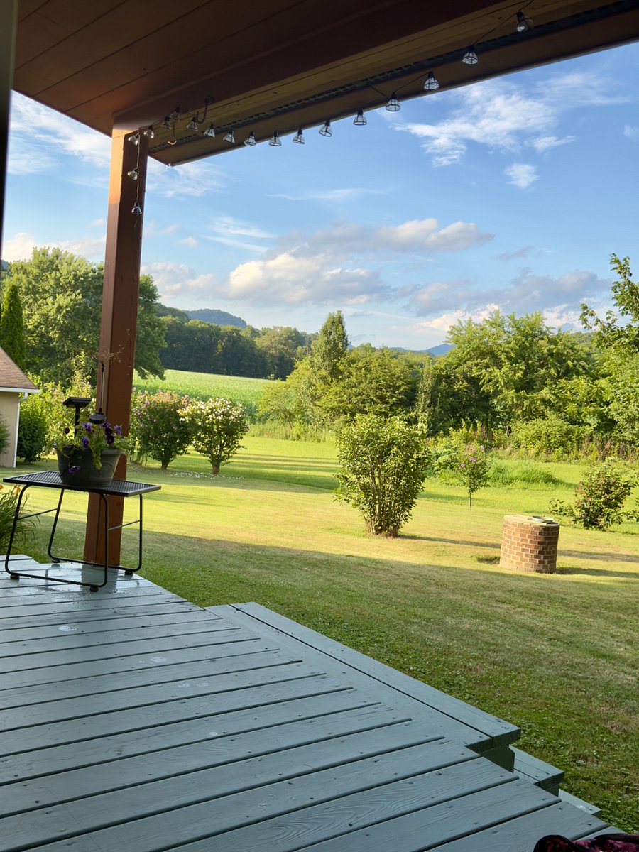 Back porch 