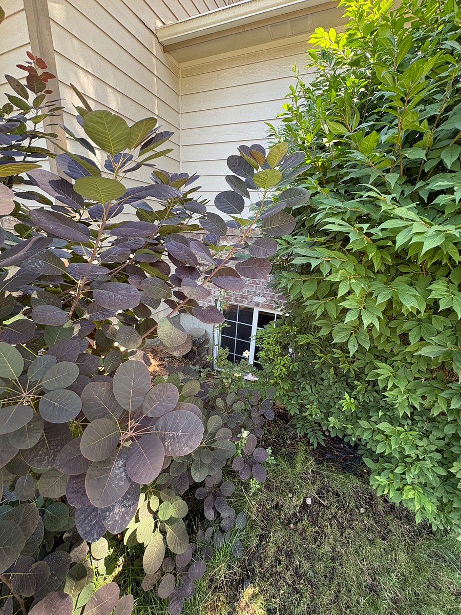 Egress window to office/guest area of downstairs apartment