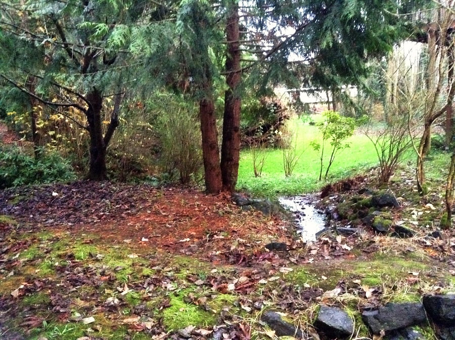 Stream that leads to meadow, about 30 feet from the front door