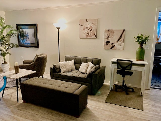 Living Room - this is also a fold out, full size sleeper