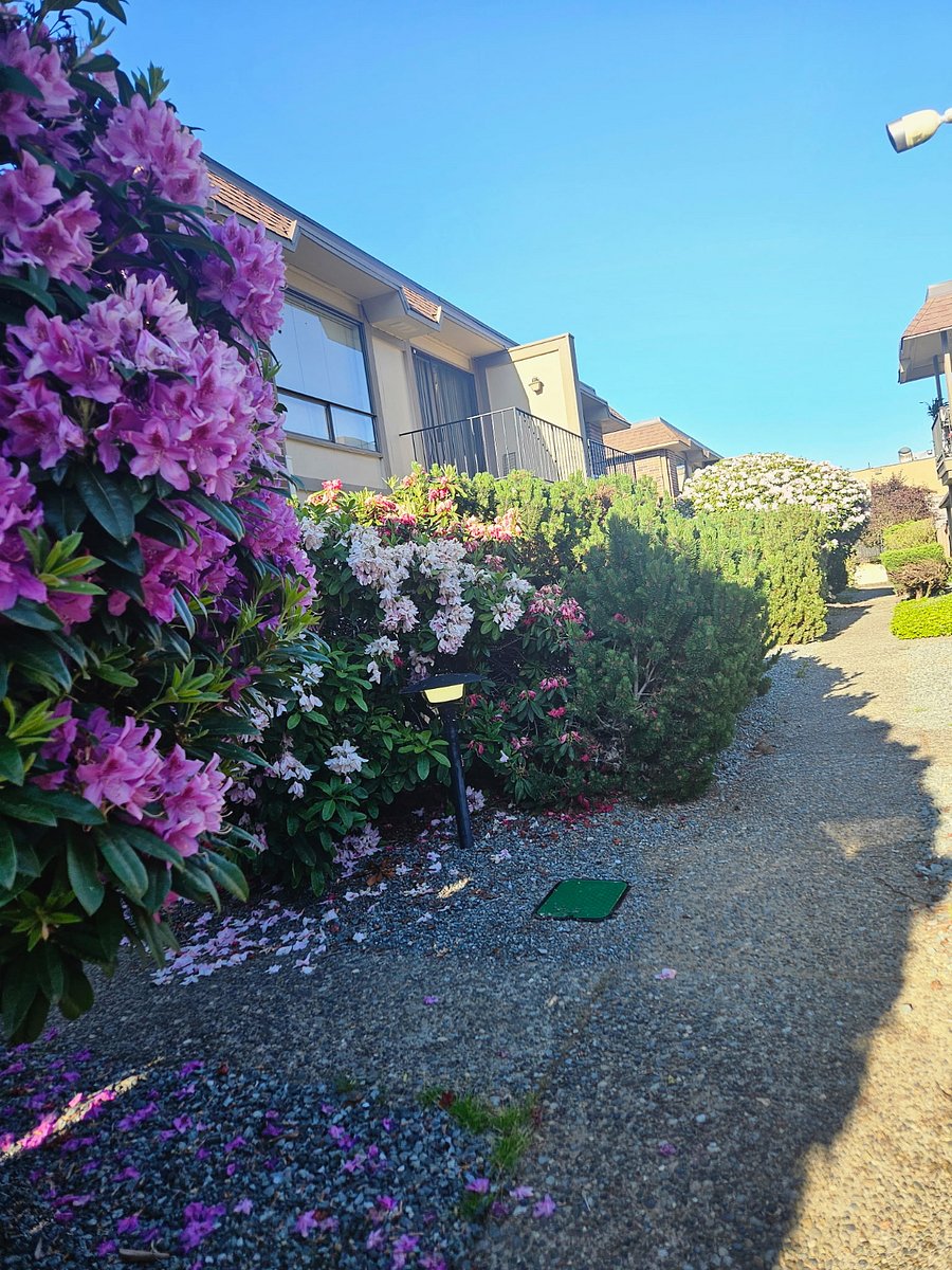 Furnished Finder property 1009733_1 photo 15
