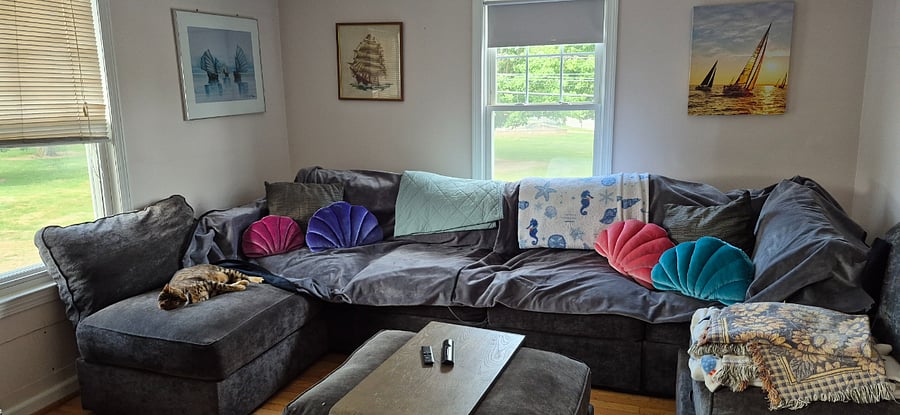 Furnished Finder property 1009735_1 photo 5