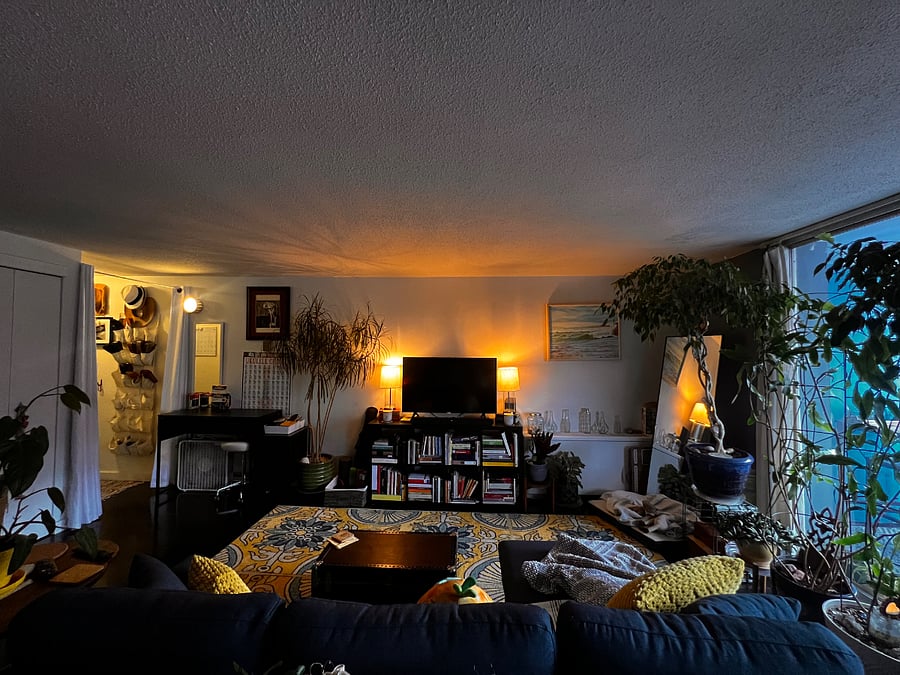 Furnished Finder property 1009758_1 photo 5