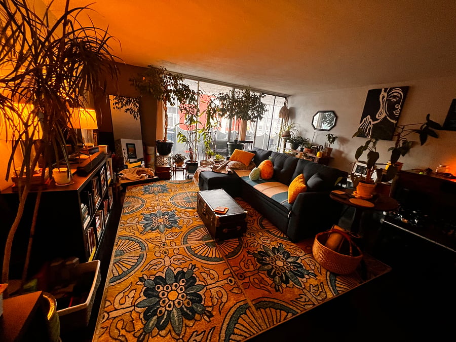 Furnished Finder property 1009758_1 photo 6