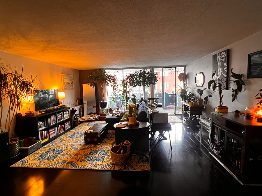 Furnished Finder property 1009758_1 photo 7