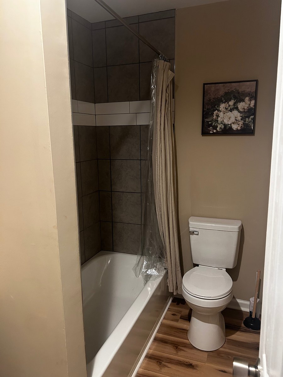 Furnished Finder property 1009811_2 photo 6